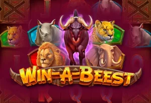 Новые слоты на 1Win — что выбрать в первую неделю апреля